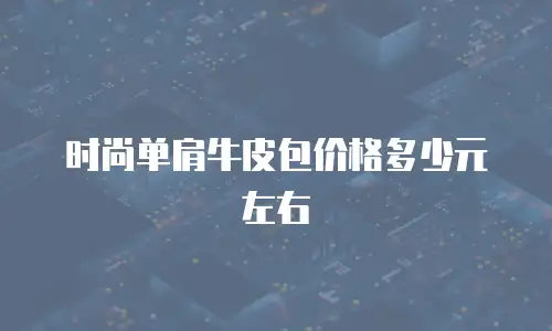 时尚单肩牛皮包价格多少元左右