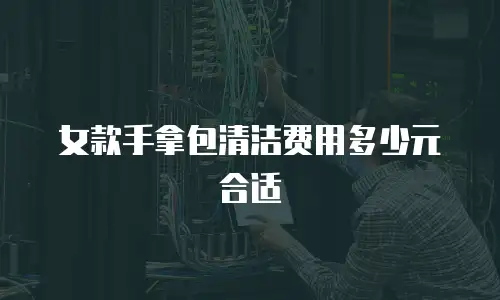 女款手拿包清洁费用多少元合适