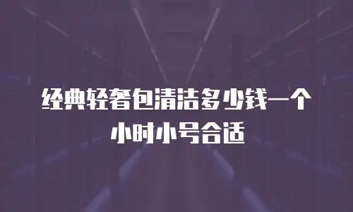 经典轻奢包清洁多少钱一个小时小号合适