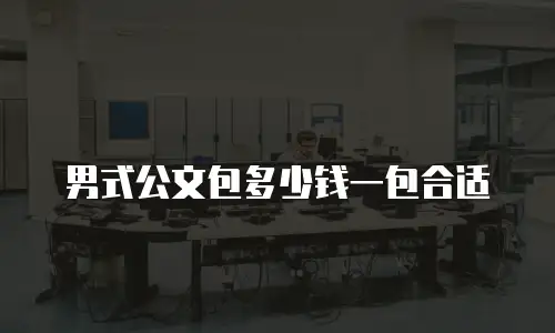 男式公文包多少钱一包合适