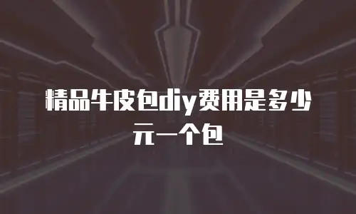 精品牛皮包diy费用是多少元一个包