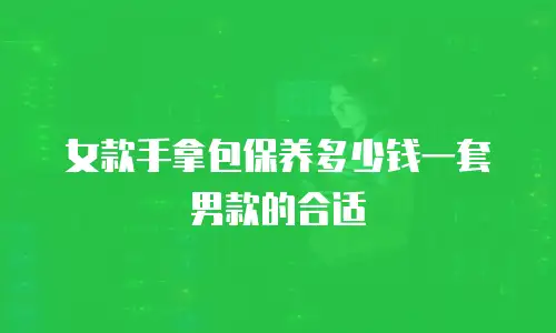 女款手拿包保养多少钱一套男款的合适