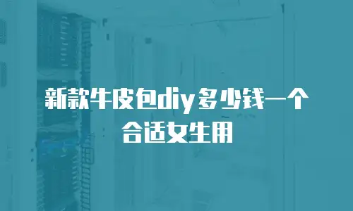 新款牛皮包diy多少钱一个合适女生用