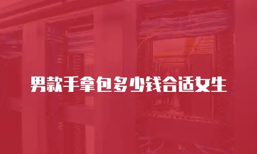 男款手拿包多少钱合适女生