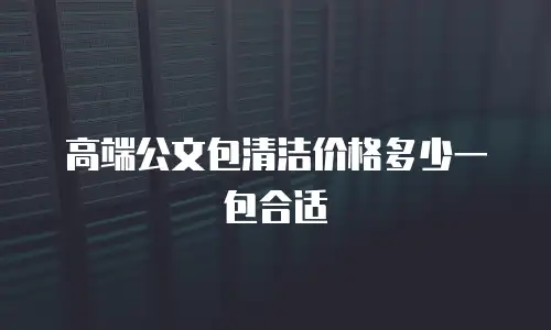 高端公文包清洁价格多少一包合适
