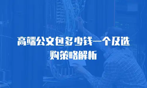 高端公文包多少钱一个及选购策略解析