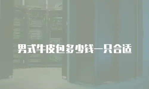 男式牛皮包多少钱一只合适