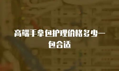 高端手拿包护理价格多少一包合适