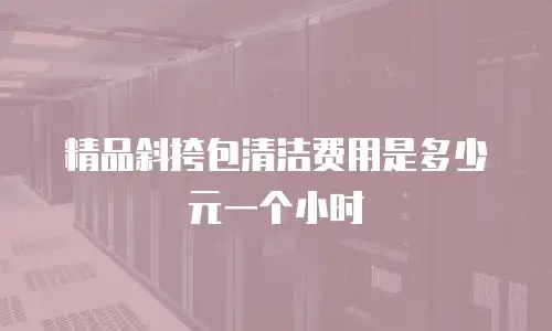 精品斜挎包清洁费用是多少元一个小时