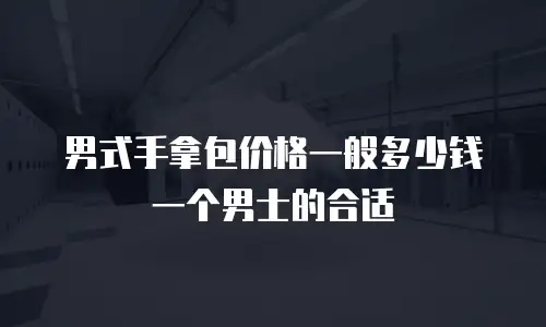 男式手拿包价格一般多少钱一个男士的合适