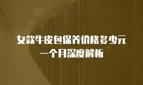 女款牛皮包保养价格多少元一个月深度解析