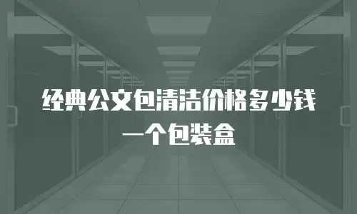 经典公文包清洁价格多少钱一个包装盒