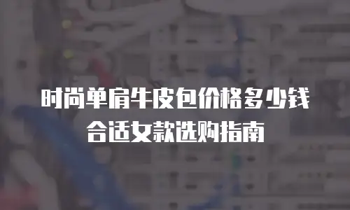 时尚单肩牛皮包价格多少钱合适女款选购指南