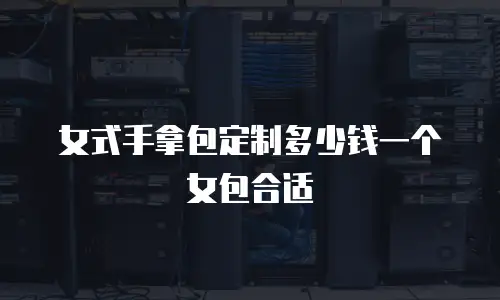 女式手拿包定制多少钱一个女包合适