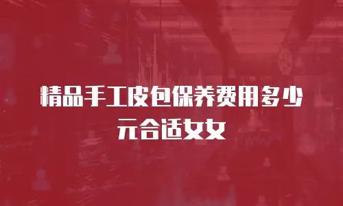 精品手工皮包保养费用多少元合适女女