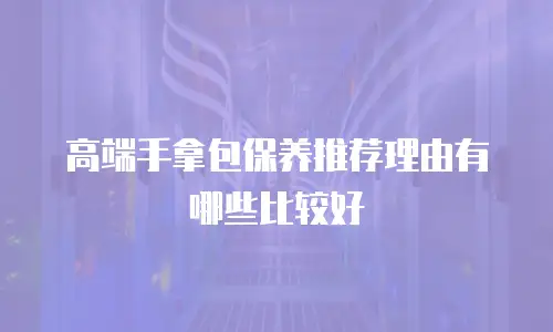 高端手拿包保养推荐理由有哪些比较好