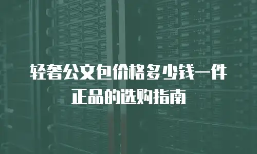 轻奢公文包价格多少钱一件正品的选购指南