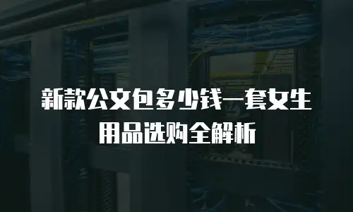 新款公文包多少钱一套女生用品选购全解析