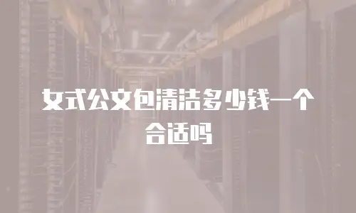 女式公文包清洁多少钱一个合适吗