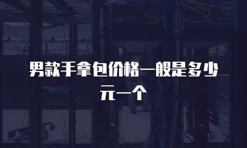 男款手拿包价格一般是多少元一个