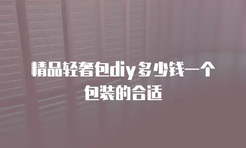 精品轻奢包diy多少钱一个包装的合适