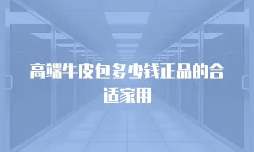 高端牛皮包多少钱正品的合适家用