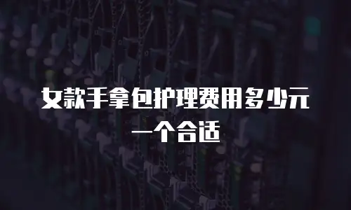 女款手拿包护理费用多少元一个合适