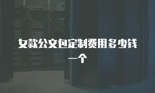 女款公文包定制费用多少钱一个