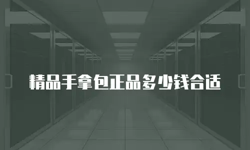 精品手拿包正品多少钱合适