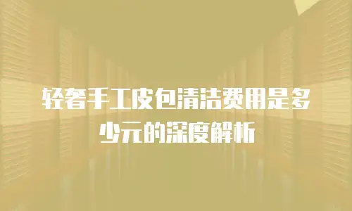 轻奢手工皮包清洁费用是多少元的深度解析