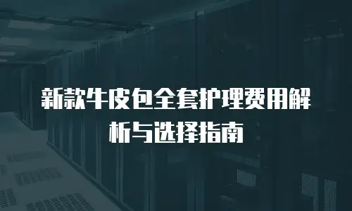 新款牛皮包全套护理费用解析与选择指南