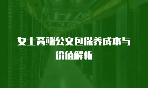女士高端公文包保养成本与价值解析
