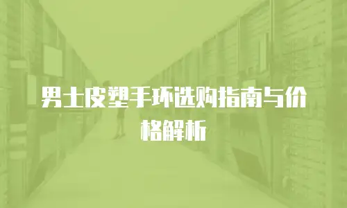 男士皮塑手环选购指南与价格解析