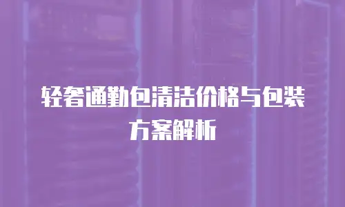轻奢通勤包清洁价格与包装方案解析