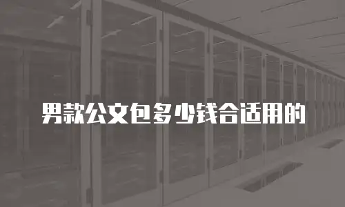 男款公文包多少钱合适用的