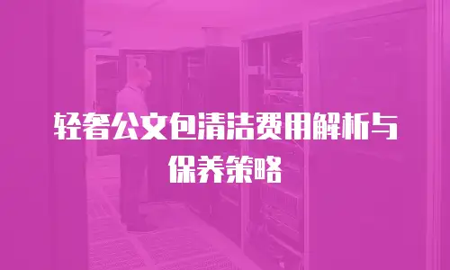 轻奢公文包清洁费用解析与保养策略