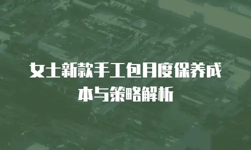 女士新款手工包月度保养成本与策略解析