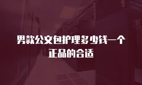 男款公文包护理多少钱一个正品的合适