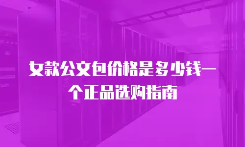 女款公文包价格是多少钱一个正品选购指南