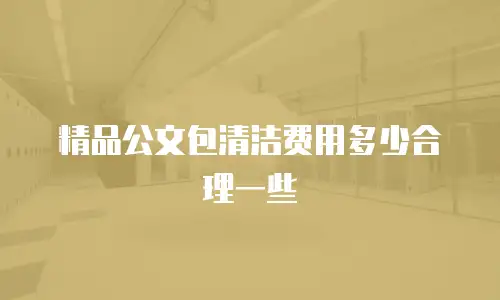 精品公文包清洁费用多少合理一些