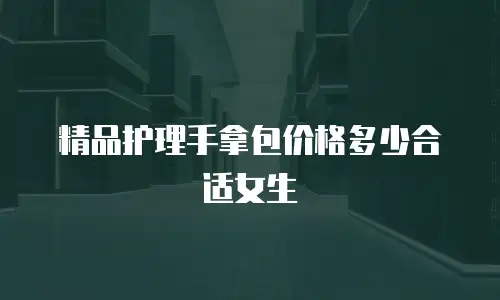 精品护理手拿包价格多少合适女生
