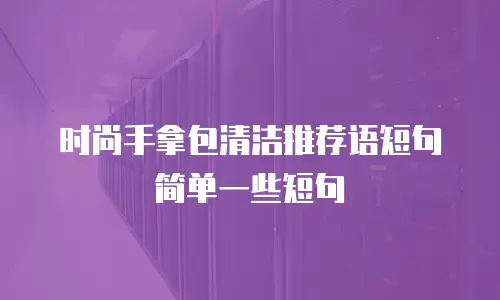 时尚手拿包清洁推荐语短句简单一些短句