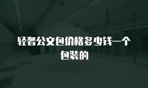 轻奢公文包价格多少钱一个包装的
