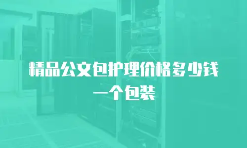 精品公文包护理价格多少钱一个包装