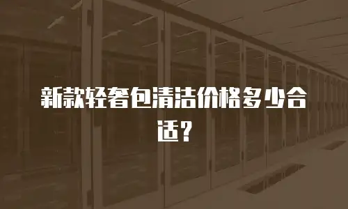 新款轻奢包清洁价格多少合适？