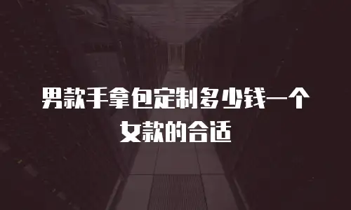 男款手拿包定制多少钱一个女款的合适
