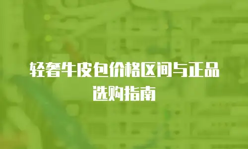 轻奢牛皮包价格区间与正品选购指南