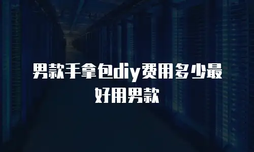 男款手拿包diy费用多少最好用男款