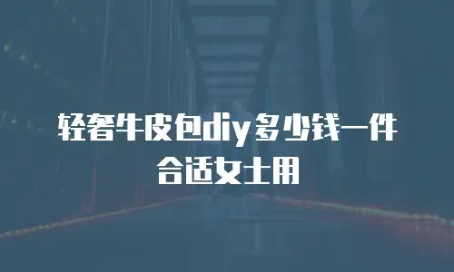 轻奢牛皮包diy多少钱一件合适女士用