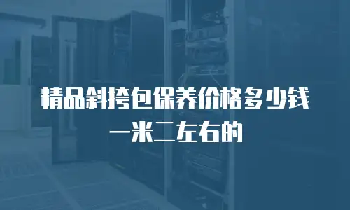 精品斜挎包保养价格多少钱一米二左右的